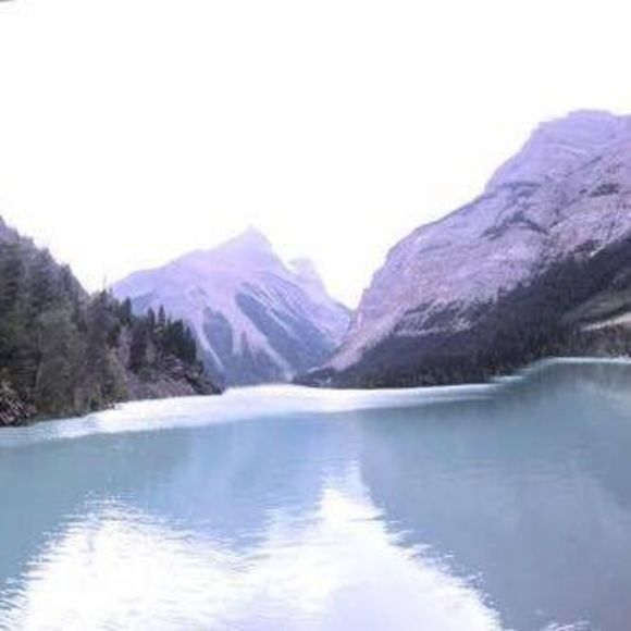 Meet your Posher, Lynn - Picture 1 of 1